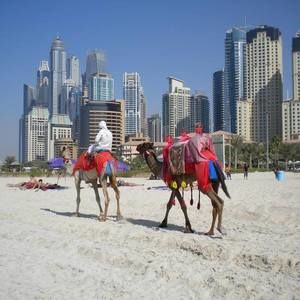 Meet your Posher, Cecilia